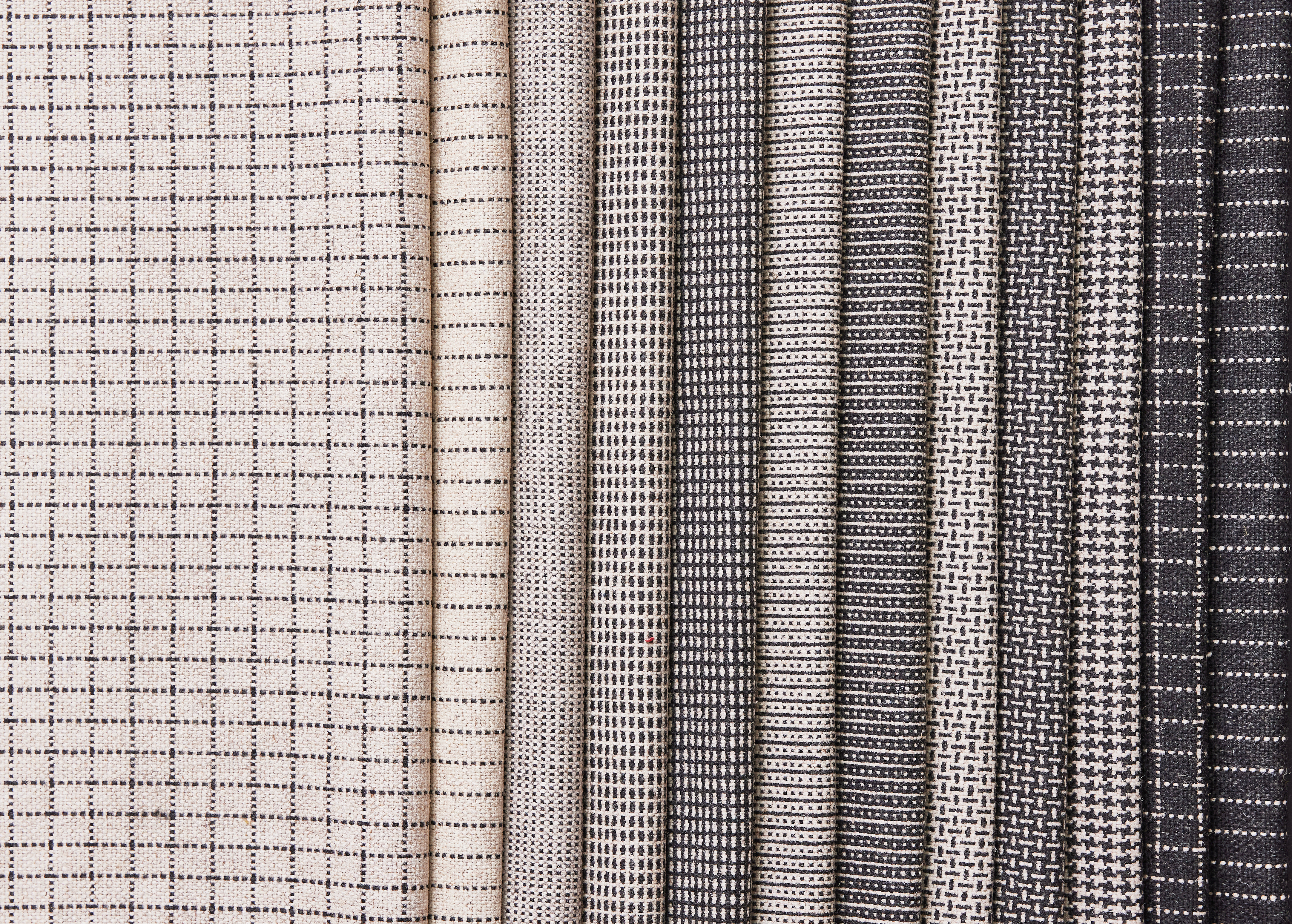 Camira's Incredible Women: Leading with Strength and Style 
